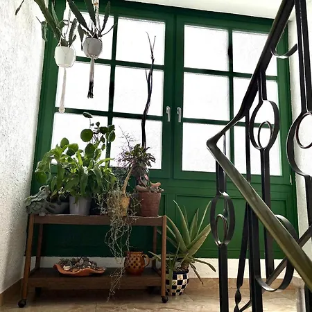 Appartement Gruene Oase